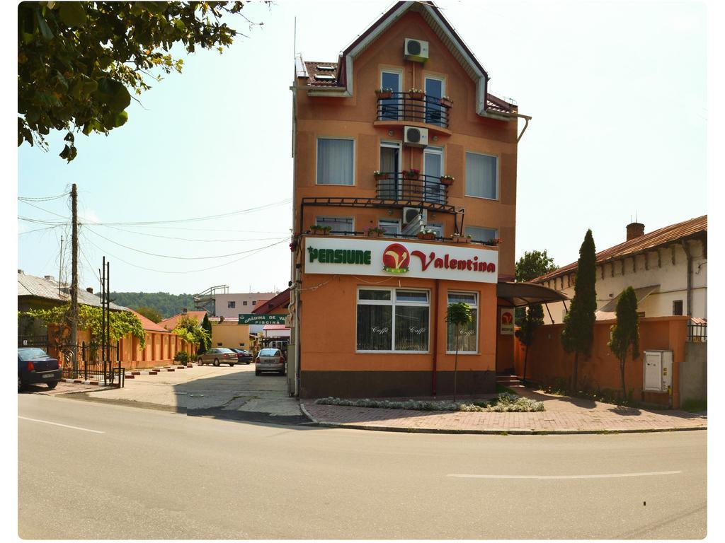 Hotel Pensiune Valentina Râmnicu Vâlcea Exterior foto